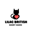 Lilac British Short Hairs